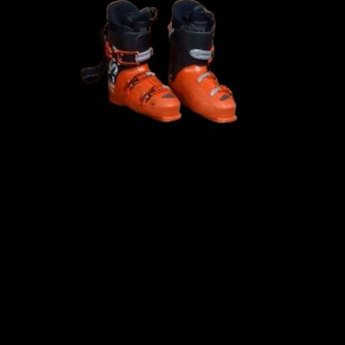 BOTAS ROSSIGNOL EVO 28.5 CM. EXCELENTES.
